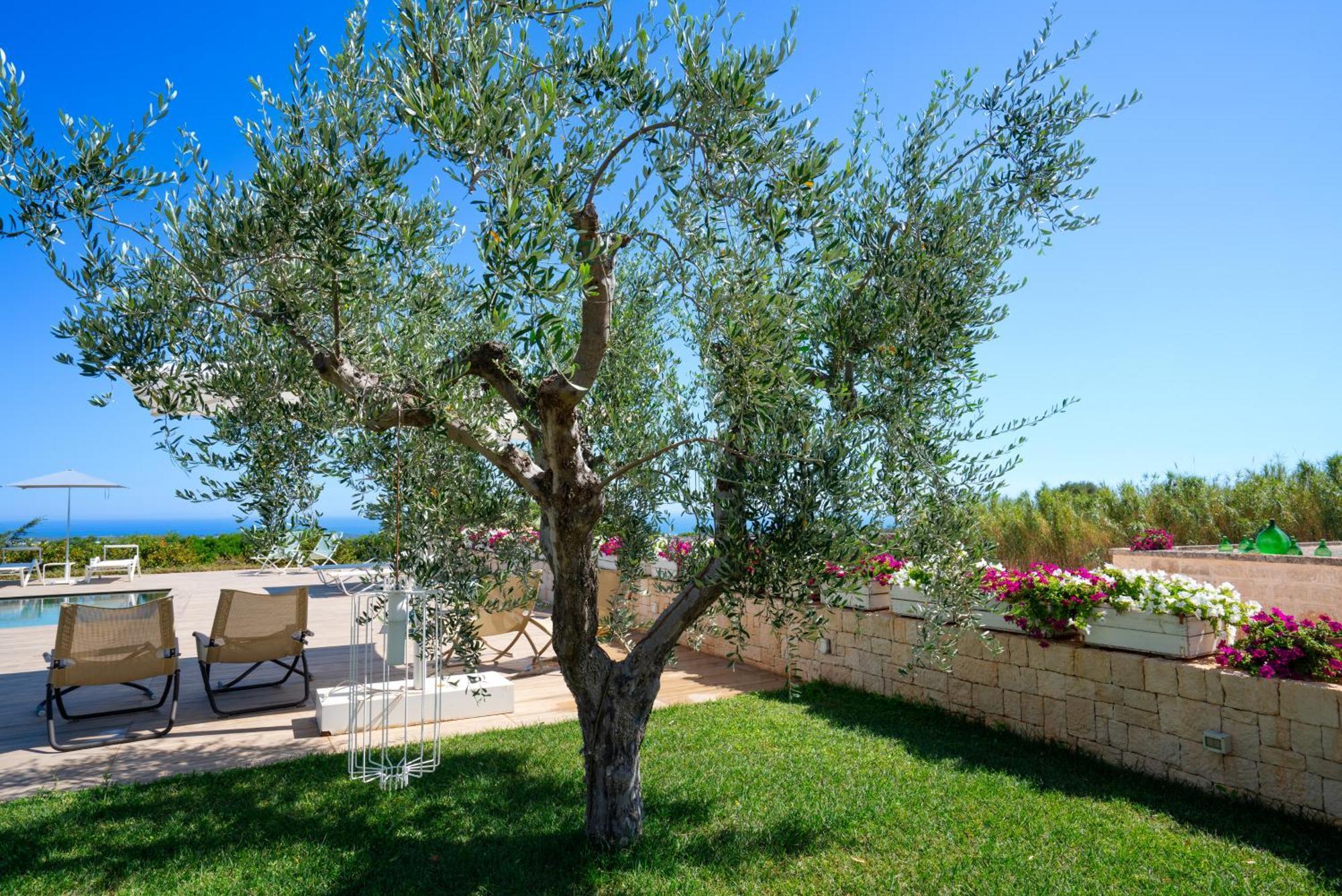 Montegrottone Nature Retreat Polignano a Mare Eksteriør bilde